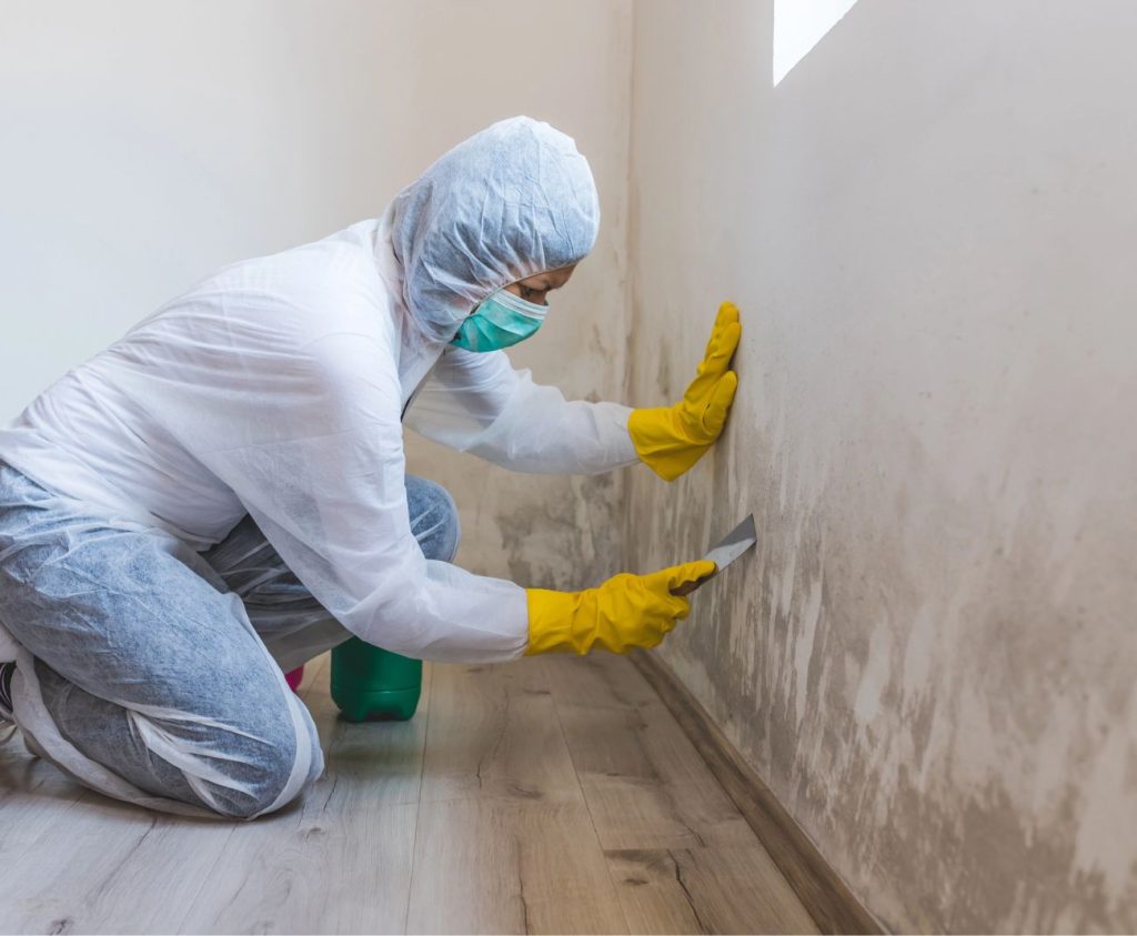 Mold Removal at a Home in Anaheim, CA