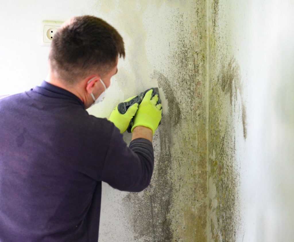 Specialist conducting water damage remediation at a home in Anaheim, CA
